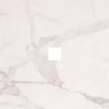 DEX. WHITE INSERTO