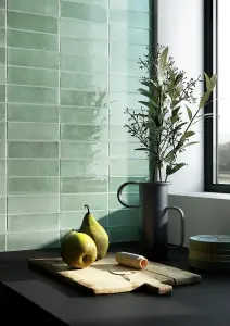 EUCALYPTUS GLOSSY