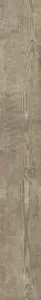 BATT.NATURE GREY