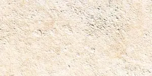 AVORIO NAT