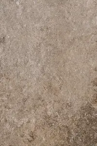 TAUPE NAT