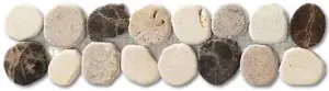TARO BOXER
