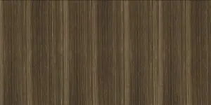 ERAMOSA BROWN SHINY