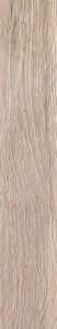 INDOOR ROVERE NAT/RET.