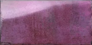 VIOLA
