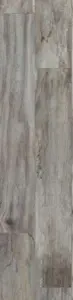 GRIGIO