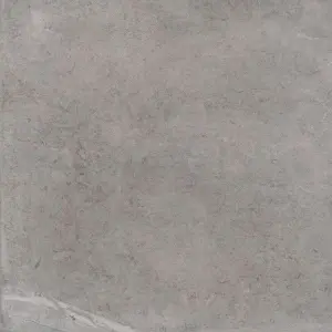 GREY SPAZZ  RET