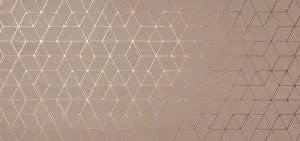 ROSE HEXAGON MAT/RET