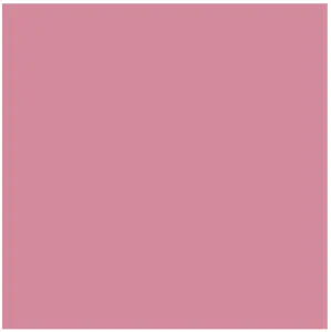 TACO DOME PINK