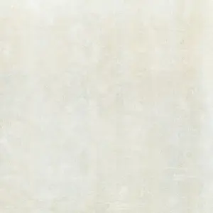 WHITE NAT/RT