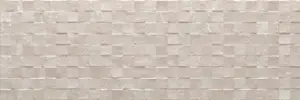 CUBIC OYSTER