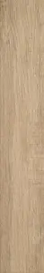 BEIGE GR2 N 