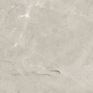 GRIS N PLUS