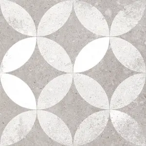 KERALA GRIS