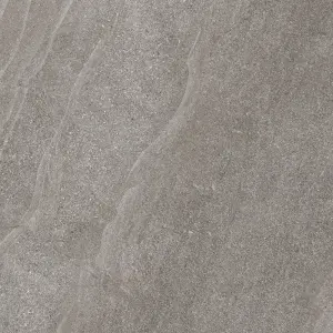 GREY NAT