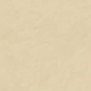 BEIGE CT2 NAT/RET