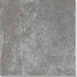 SILVER RETT