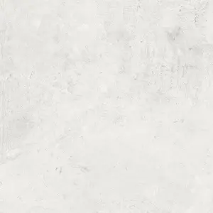 WHITE SP/RT