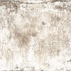 BRUCIATO
