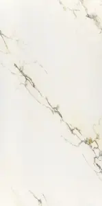 PAONAZZETTO S LUCIDATO SHINY