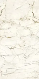 CALACATTA MACCHIA VECCHIA LEVIGATO SILK