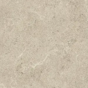 LIGHT GREY ASR R11