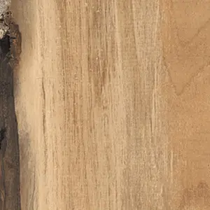 OAK