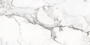 ICEBERG NT/C/R