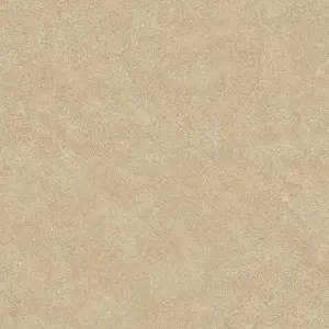 BEIGE HB2 ASR R11