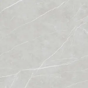 SILVER MATT REC