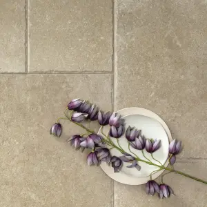 BEIGE NATURALE RET CHIPPED