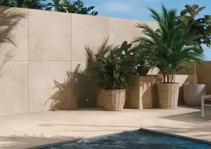 BEIGE 20MM RETT
